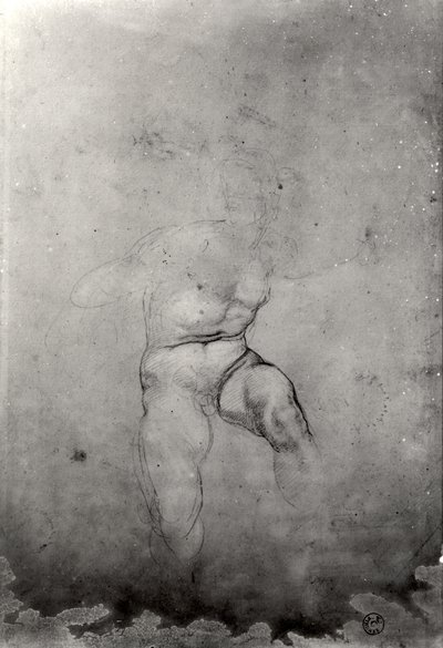 Männlicher Akt von Michelangelo Buonarroti